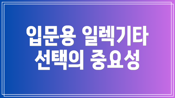입문용 일렉기타 선택의 중요성