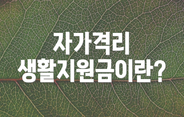 자가격리 생활지원금이란?