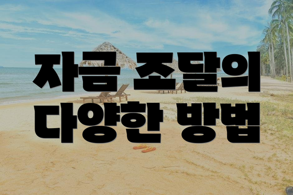 자금 조달의 다양한 방법