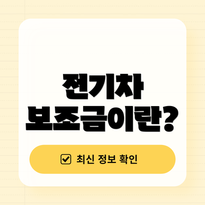 전기차 보조금이란?