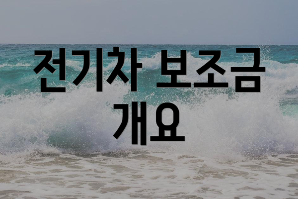 전기차 보조금 개요