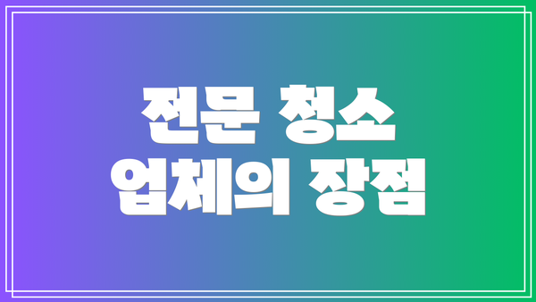 전문 청소 업체의 장점