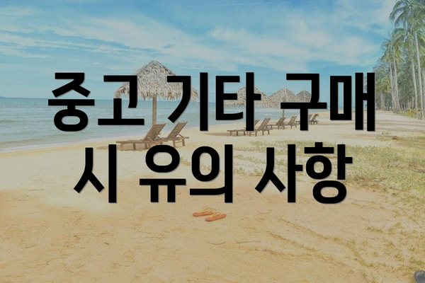 중고 기타 구매 시 유의 사항