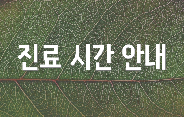 진료 시간 안내