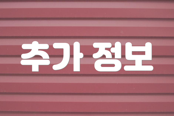 추가 정보