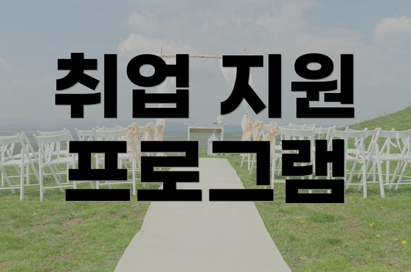 취업 지원 프로그램