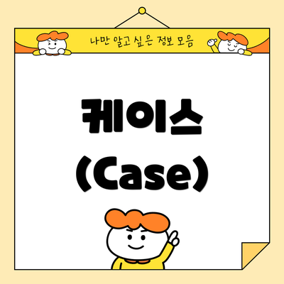 케이스 (Case)