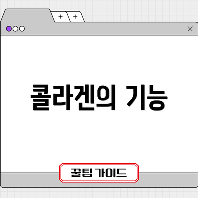 콜라겐의 기능