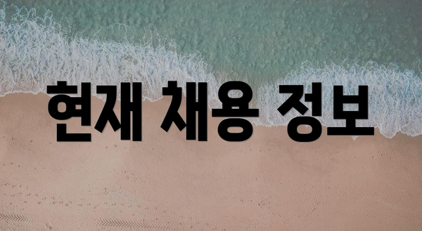 현재 채용 정보