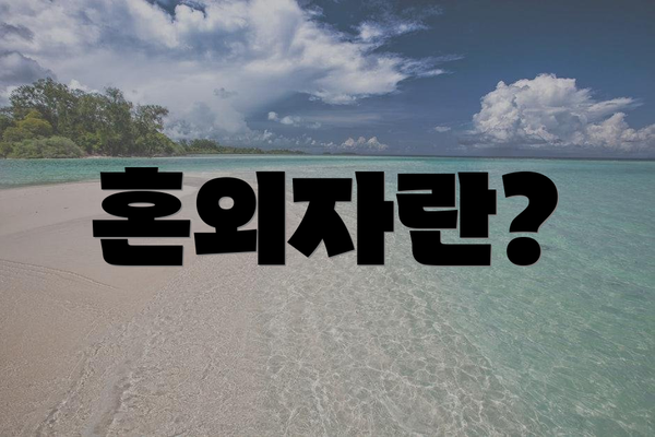 혼외자란?