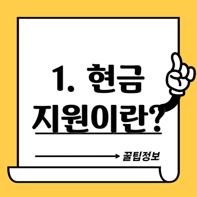1. 현금 지원이란?