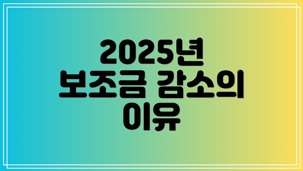 2025년 보조금 감소의 이유
