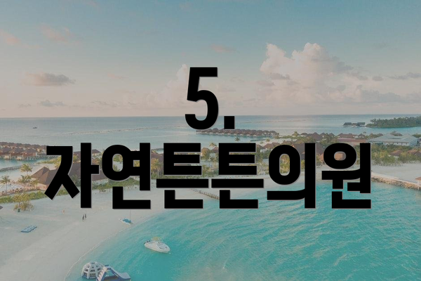 5. 자연튼튼의원